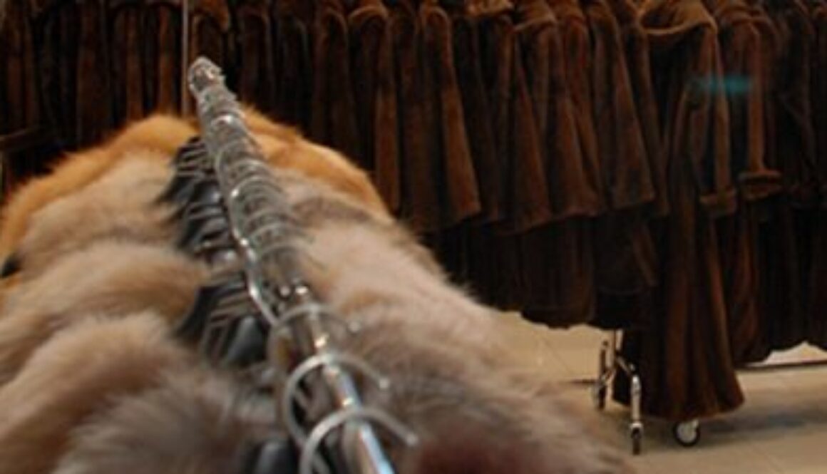 fur